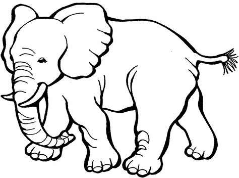 Desenhos De Bichos Para Imprimir - 7