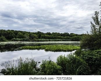 6 Massapequa park preserve Images, Stock Photos & Vectors | Shutterstock