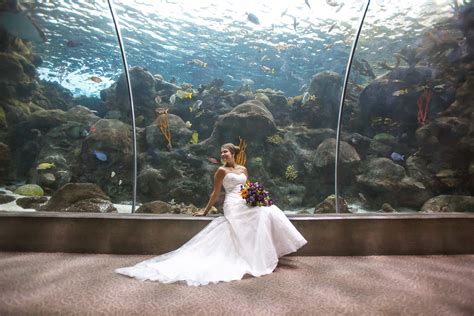 Wedding Dress Donation Tampa Florida - bestweddingdresses