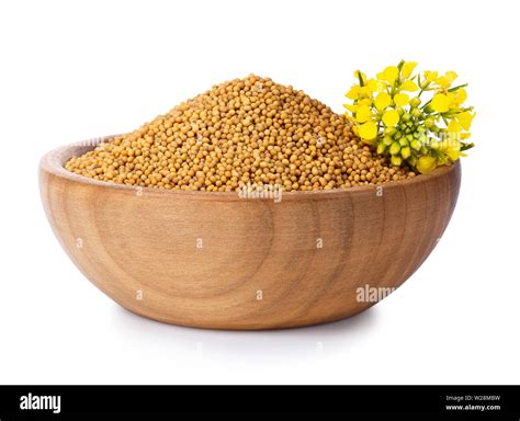 Mustard Seed Flower Hi Res Stock Photography And Images Alamy