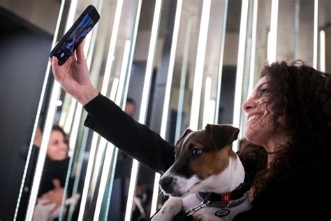 Fiuto El Restaurante Gourmet Para Perros En Roma