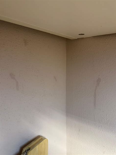 Zucker Flecken durch Sirup von More Nutrition an der Wand was kann ich