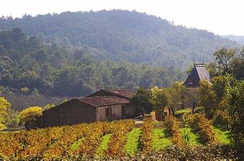 Languedoc French Wines With Terroir Character And Personality