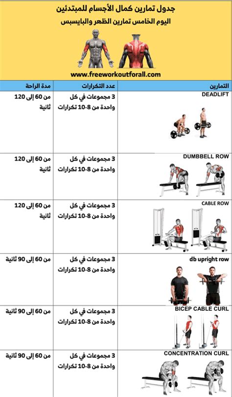 جدول تمارين كمال الاجسام للمبتدئين