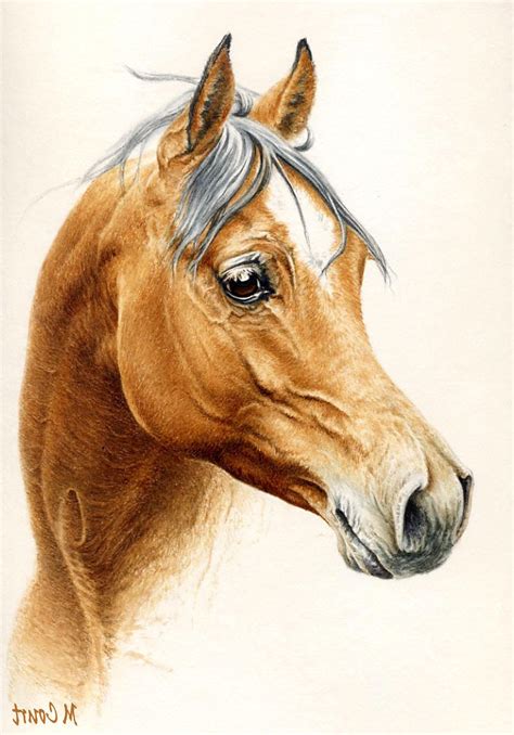 11 Beau De Cheval Dessin Couleur Photos Cavalos Cavalo Desenho Pinturas