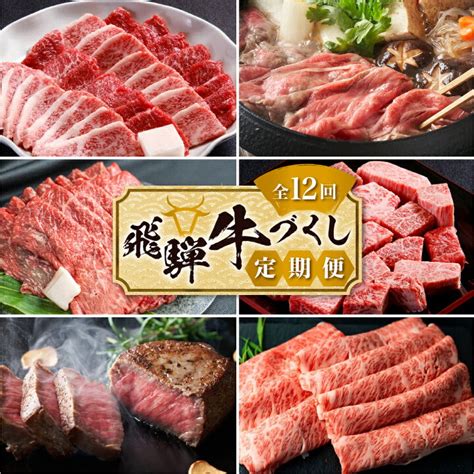 【限定販売】 A5等級飛騨牛サーロインステーキ用600g 飛騨牛 和牛 牛肉 A5等級 サーロインステーキ 定期便 ギフト