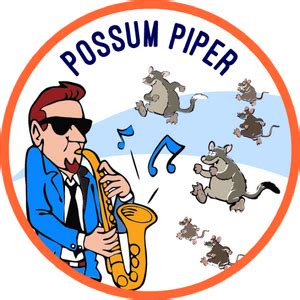 Possum Deterrents vs Repellents: What’s Effective? – Possum Piper