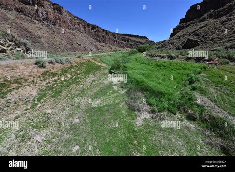 A Fertile Valley In Echo Canyon In Nevada Stock Photo Alamy