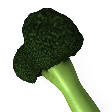 Broccoli 3d Max