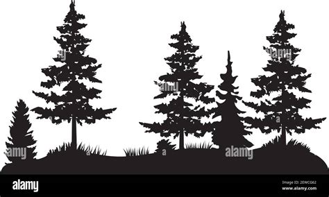 White Pine Tree Vector