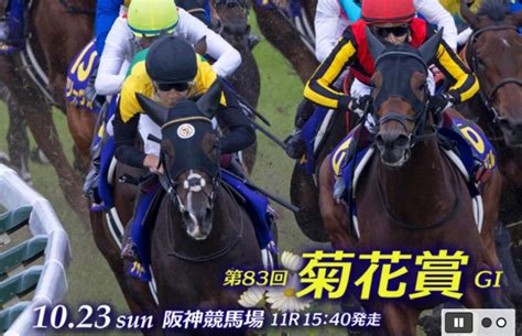 2022菊花賞gⅠ予想 人生競馬中心