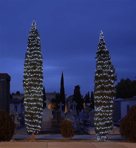 Navidad En El Recuerdo Homenaje A Los Fallecidos Y A Sus Familiares