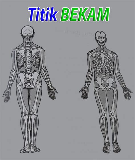 titik bekam rumah bekam indonesia