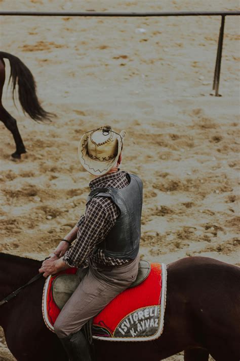 high resolution horse      high resolution