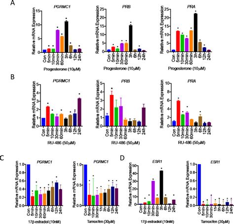 Crosstalk Between Progesterone Receptor Membrane Component And