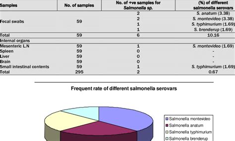 Salmonella Serovars Isolated From Different Samples Download Table