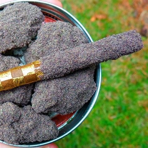 Moon Rocks A Potent Pot Preparation That Will Send You To The Moon