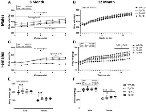 The Impact Of Continuous And Intermittent Ketogenic Diets On Cognitive