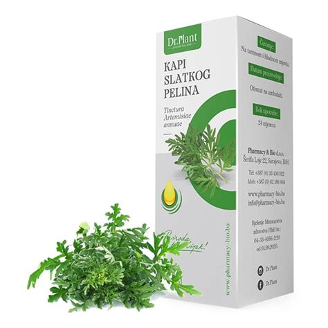 Dr Plant Kapi Slatkog Pelina Artemisia Annua 30ml Biotime Mostar