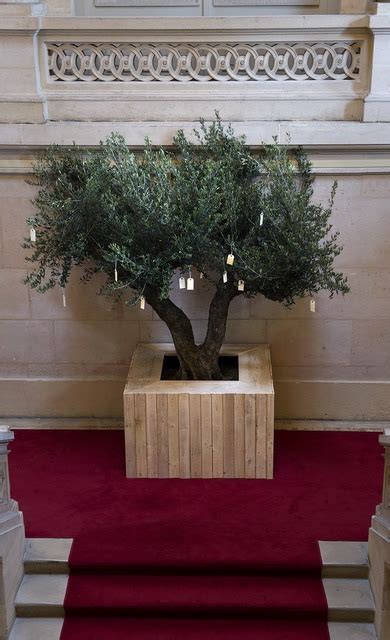 Yoko Ono | Wish Tree (1996-2015) | Artsy