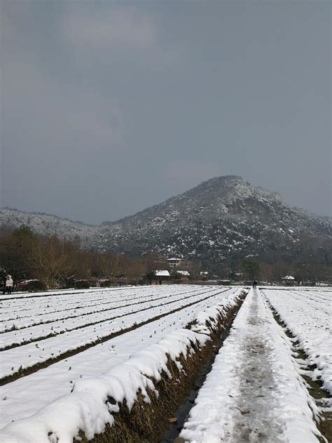 杭州玉皇山 八卦田 雪後美呆了！ 每日頭條