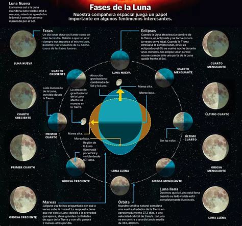 Actividades Sobre Las Fases De La Luna Para Hot Sex Picture