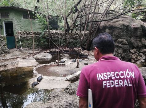 La Jornada Maya Quintana Roo La Jornada Maya En Aparente Buen