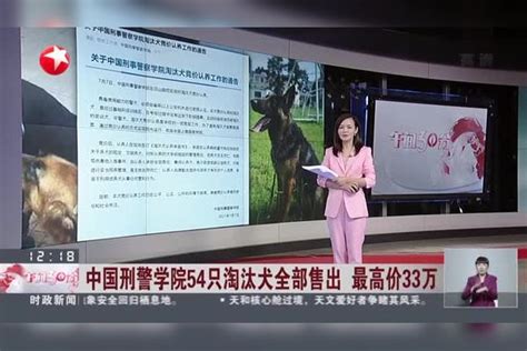 中国刑警学院54只淘汰犬全部售出 最高价33万