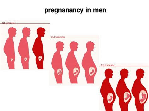 Pregnanancy In Men Do Men Get Pregnant Grs