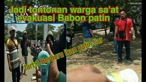 PASER MANIA Skill Tembak Reaksi Berburu Ikan Patin Liar YouTube