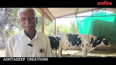 पडीच्या काळात सुद्धा परवडतोय दुग्ध व्यवसाय Dairy Farming Youtube