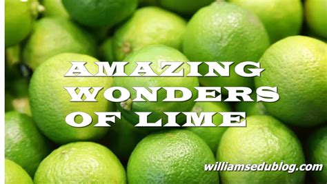 INTERESTING MEDICINAL PROPERTIES OF LIME | 11 SHOCKING DISEASES LIME ...