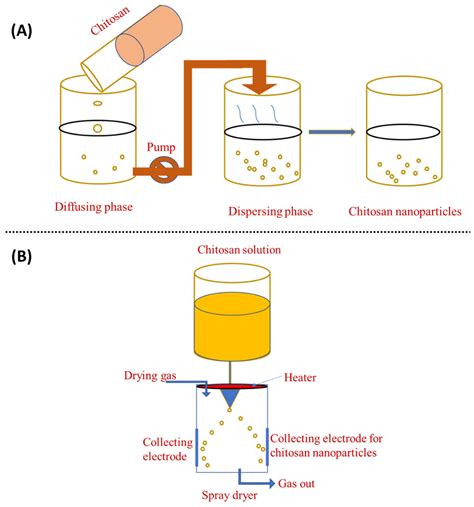 Production Of Chitosan Nanoparticles Encyclopedia Mdpi