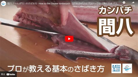 Mastering Greater Amberjack Preparation with Japanese Knives | KIREAJI