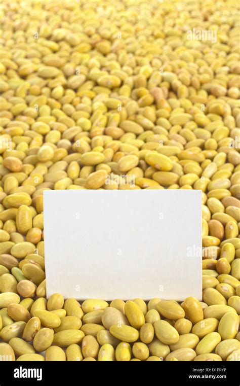 Raw Canary Beans Peruano Beans Yellow Beans With Blank Card