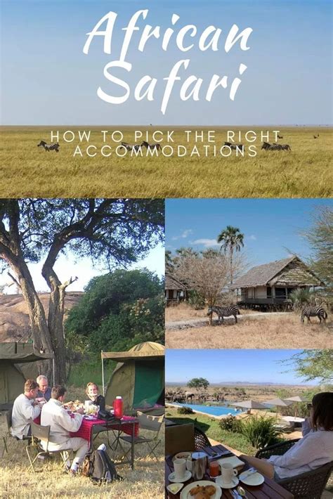 African Safari Everything You Need To Know Artofit