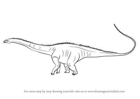 Learn How To Draw A Diplodocus Dinosaurs Step By Step Drawing Tutorials