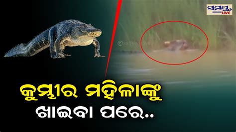 କୁମ୍ଭୀର ମହିଳାଙ୍କୁ ଖାଇଲା ପରେ Odia News Live Updates Latest Odia