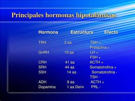 PPT Fisiopatología 2008 HIPOFISIS PowerPoint Presentation free