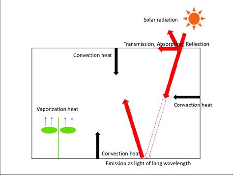 Definition Of Convection