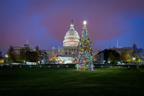 Capitol Christmas Tree 2021 Orientation