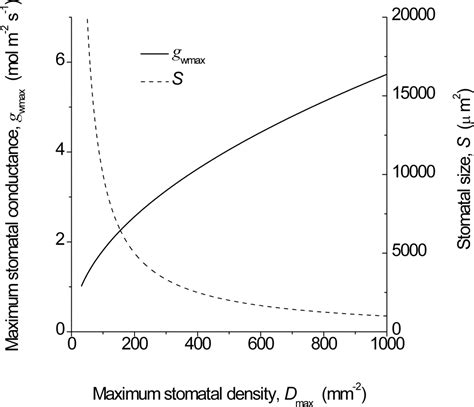 Maximum Leaf Conductance Driven By CO2 Effects On Stomatal Size And