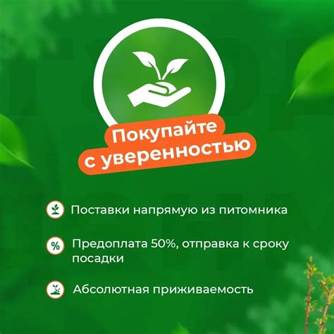Яблоня Черный бриллиант (Алмаз)