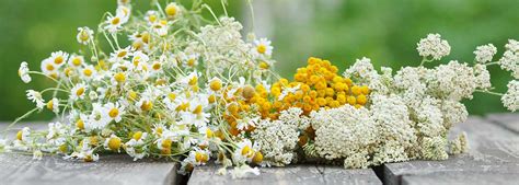 Erboristeria - Prodotti naturali per la tua salute - Farmacie Benessere