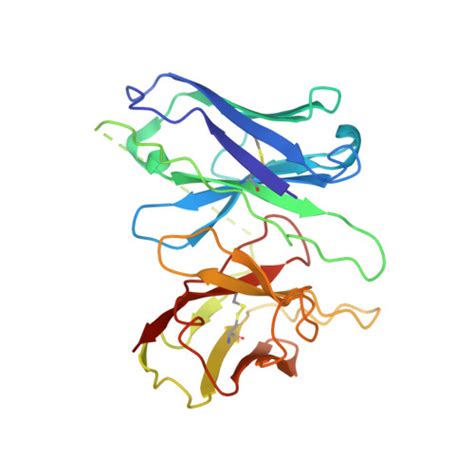 Rcsb Pdb Sqo Structure Of The Orexin Receptor Ox R Bound To Tak