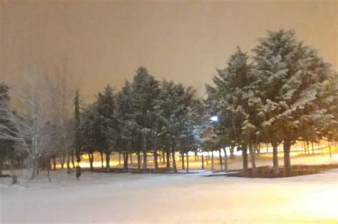 Alerta Amarillo Por Lluvias Vientos Fuertes Y Nevadas En Sectores De