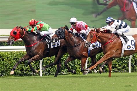 精英碟圖輯 賽馬新聞 香港賽馬會