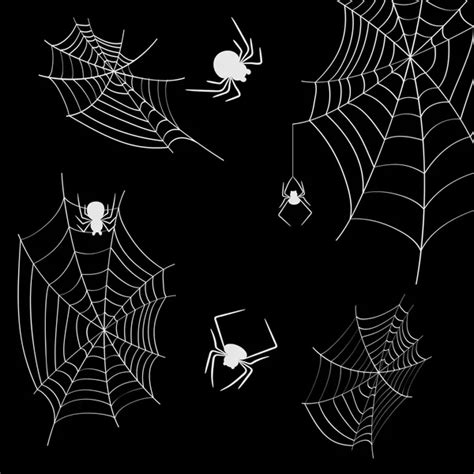 Collection Of Cobweb Isolated On Black Transparent Background