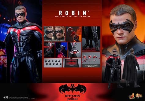 Hot Toys Batman Robin 1 6th Scale Robin Collectible Figure
