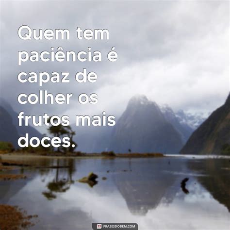 Quem Tem Paciência É - Descubra Por Que Quem Tem Paciência Sempre Alcança o Sucesso - Frases ...